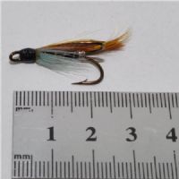 FLY0924 - Hairy mary - Str.6<br>