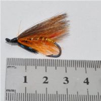 FLY0934 - Thunder&Lighting AF - Str.6<br>