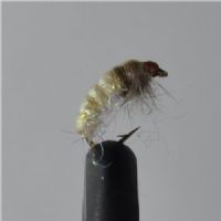 FLY1021 - CZ . Ny Sparkle og Olive - Str.12<br>