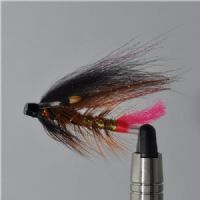 FLY1034 - Tempel Dog Original j.c. 40mm<br>