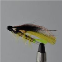 FLY1043 - Original Tempeldog Black Yellow j.c 35mm<br>