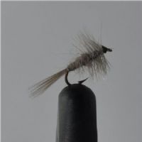 FLY1112 - Erika Favorite - Str.18<br>