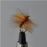 FLY1114 - Nalle Puh Dry - Str.8<br>
