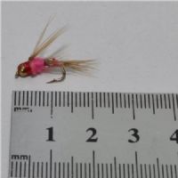 FLY1121 - GH Virus Pink - Str.12<br>