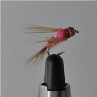 FLY1121 - GH Virus Pink - Str.12<br>