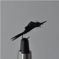 FLY1142 - Kaufmann GH Stonefly - Str12.<br>