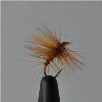 FLY1144 - G H Regnorm Sr.10.<br>