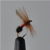 FLY1153 - Red Ant - Str.12<br>