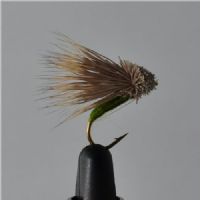 FLY1253 - Streaking Caddis Olive – Str. 8<br>