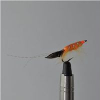 FLY1313 - Cdc Shrimp Slw - Str.6<br>