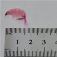 FLY1324 - Gammarus - Str.8<br>