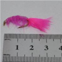 FLY1333 - Gammarus - Str.6<br>