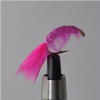 FLY1333 - Gammarus - Str.6<br>