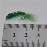 FLY1334 - Gammarus - Str.6<br>