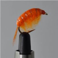 FLY1342 - Gammarus - Str.6<br>