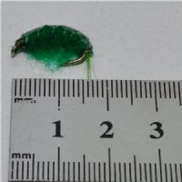 FLY1352 - Gammarus - Str.8<br>