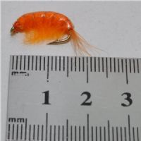 FLY1354 - Gammarus - Str.8<br>