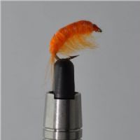 FLY1354 - Gammarus - Str.8<br>