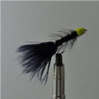FLY1355 - Egg-sucking-leach - Str.8<br>