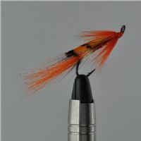 FLY1653 - Ally Shrimp single - Str.6<br>