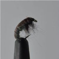 FLY1744 - CZ Red Hydropsyche - Str.12<br>