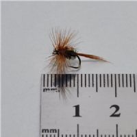 FLY2511 - Brown Peacock - Str.16<br>