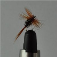 FLY2511 - Brown Peacock - Str.16<br>
