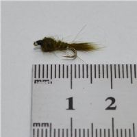 FLY2572 - G R Hares Ear Ny - Str.14<br>