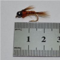 NY0111 - GH Brown Nymph 14<br>