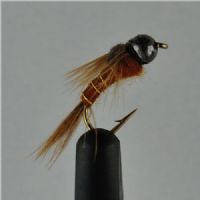 NY0111 - GH Brown Nymph 14<br>