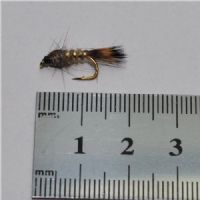 NY0132 - GR-hares-ear-ny - Str.14<br>