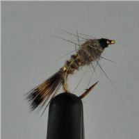 NY0132 - GR-hares-ear-ny - Str.14<br>