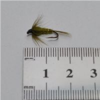 NY0163 - Olive ny - Str.12<br>