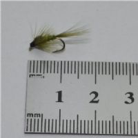 NY0164 - Olive ny - Str.14<br>