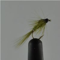 NY0164 - Olive ny - Str.14<br>