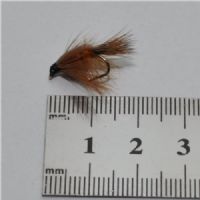 NY0211 - Freshwater Shrimp Orange - Str.12<br>