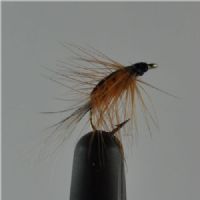 NY0212 - Freshwater Shrimp Orange - Str.14<br>