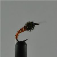 NY0213 - Orange Buzzer - Str.12<br>