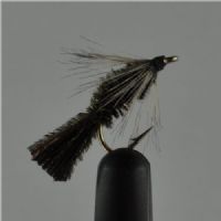 NY0214 - Peacock Ny (GASKA NY) - Str.12<br>