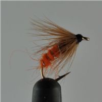 NY0222 - Orange sedge puppa - Str.14<br>