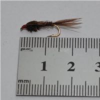 NY0223 - Pheasant tail Ny - Str.12<br>