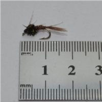 NY0224 - Pheasant tail Ny - Str.14<br>