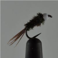 NY0231 - B/H Nymph - Str.14 Barbless<br>