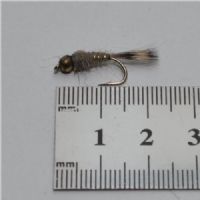 NY0254 - G/H Hares Ear - Str.18<br>