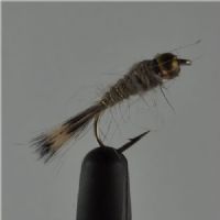 NY0254 - G/H Hares Ear - Str.18<br>