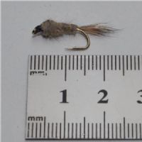 NY0261 - GR Hares Ear - Str.10<br>