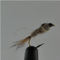 NY0261 - GR Hares Ear - Str.10<br>