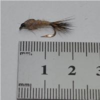 NY0262 - GR Hares Ear - Str.12<br>