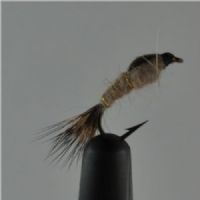 NY0262 - GR Hares Ear - Str.12<br>