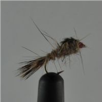 NY0263 - GR Hares Ear - Str.14<br>